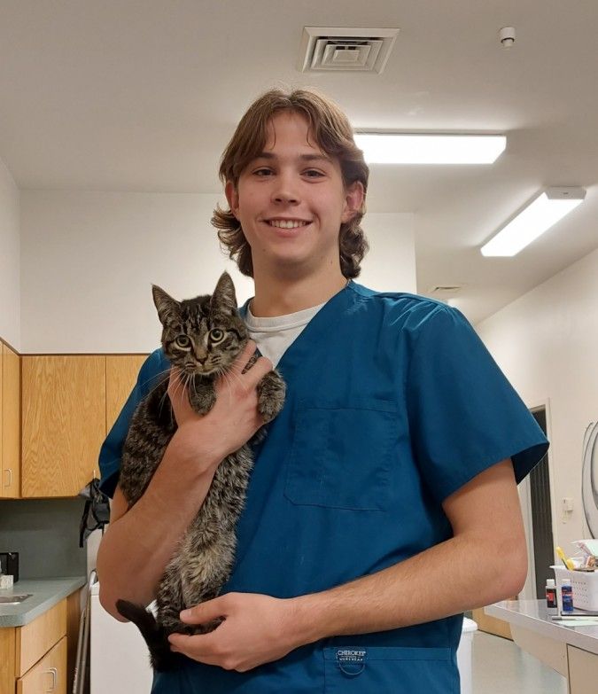 Owen, Veterinary Assistant Owen, Veterinary Assistant